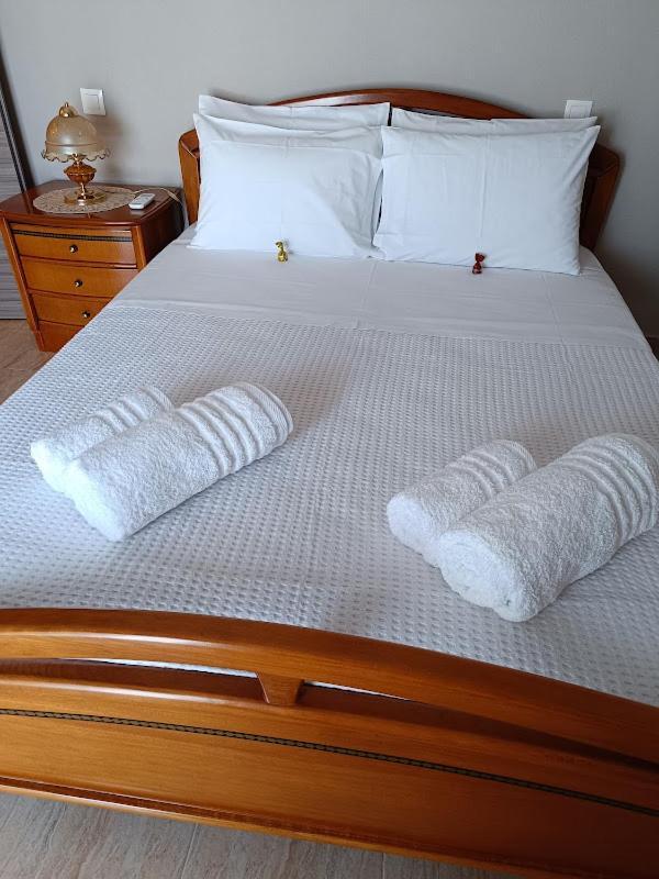 Panos House - High Luxury Apartment Tríkala Dış mekan fotoğraf