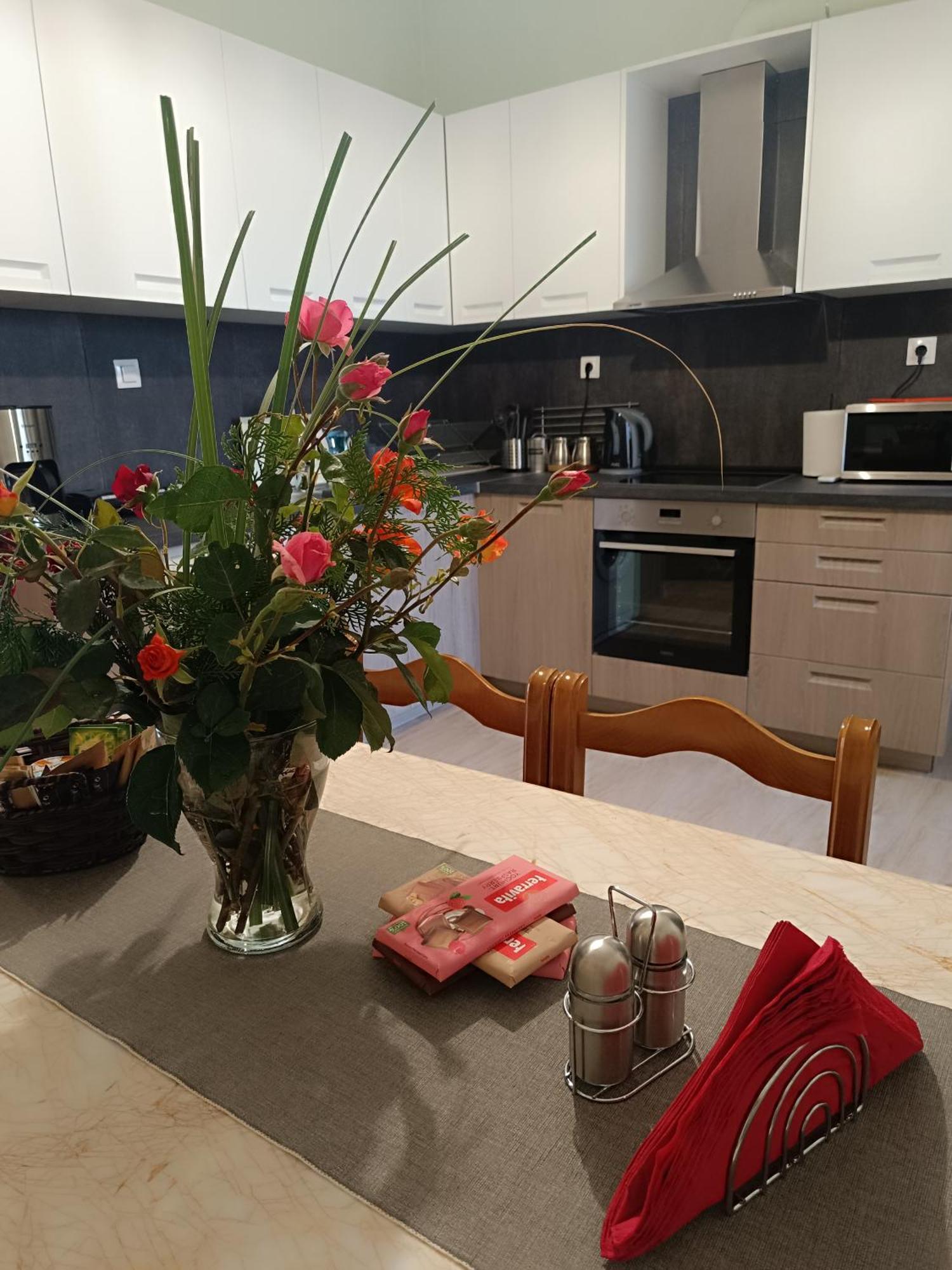 Panos House - High Luxury Apartment Tríkala Dış mekan fotoğraf
