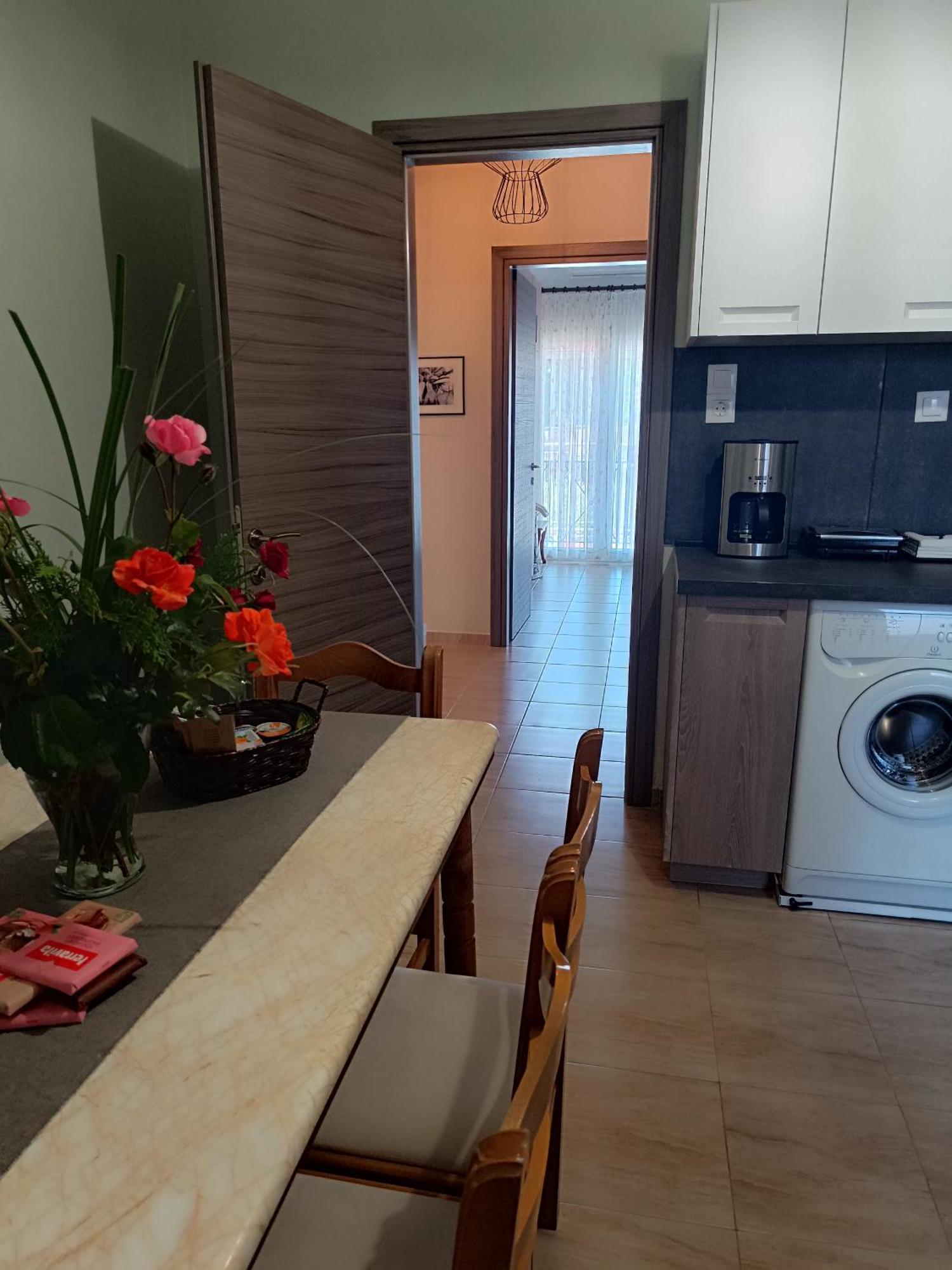 Panos House - High Luxury Apartment Tríkala Dış mekan fotoğraf
